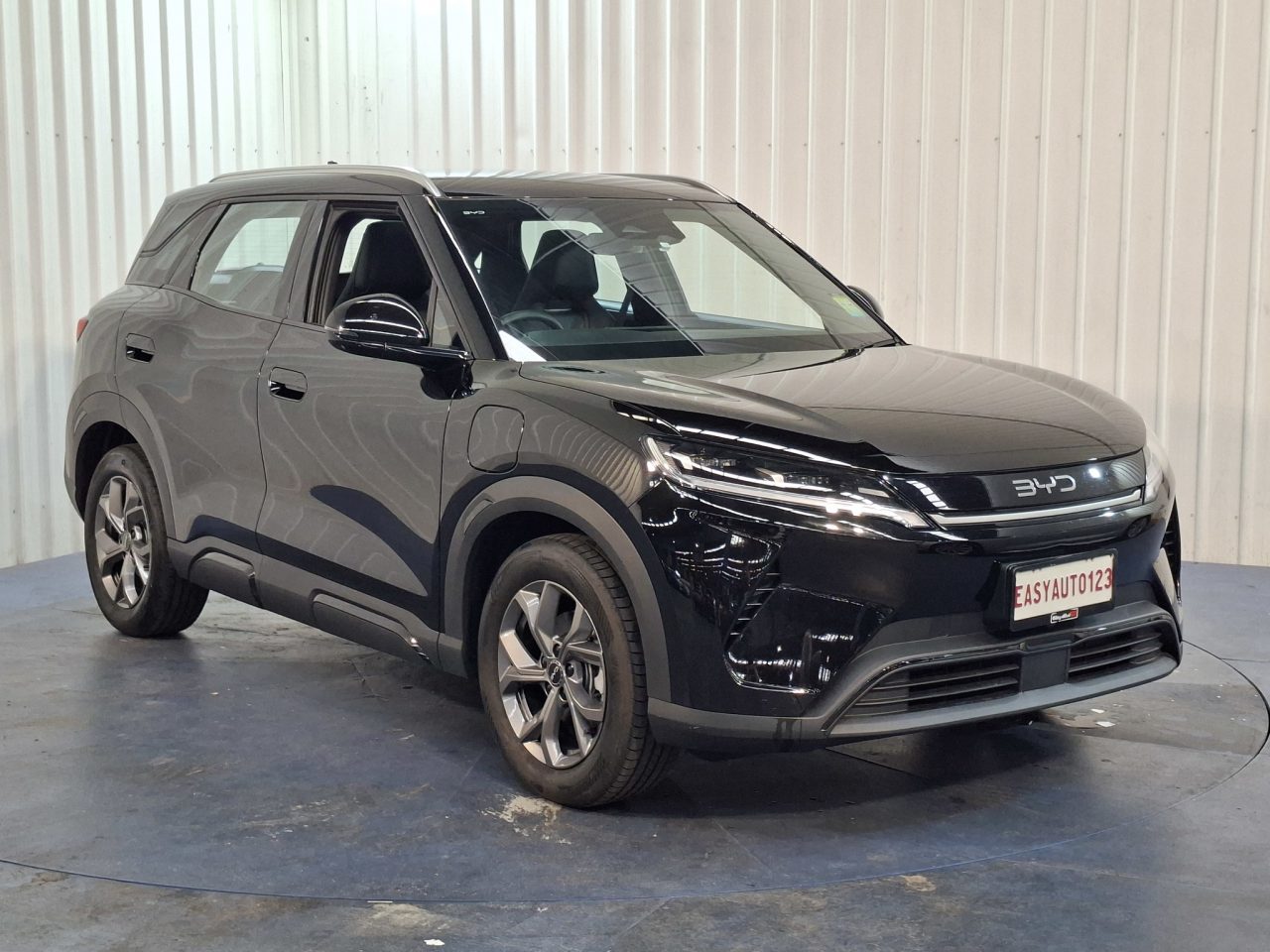 2025 Byd Atto 2 Premium