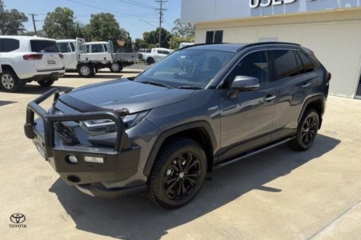 2022 Toyota RAV4 Cruiser