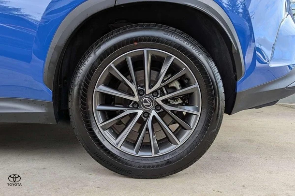 2023 Lexus NX NX250