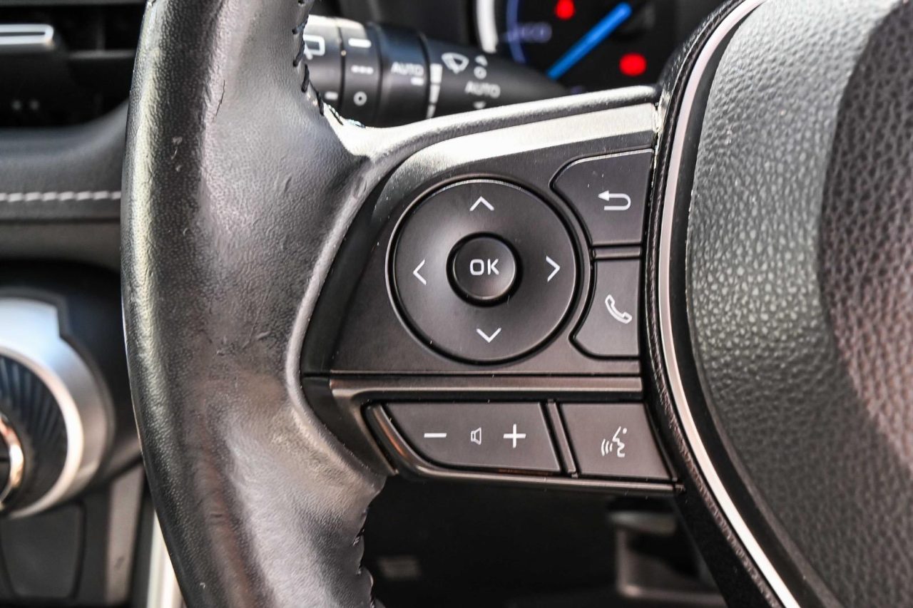 2019 Toyota RAV4 Cruiser