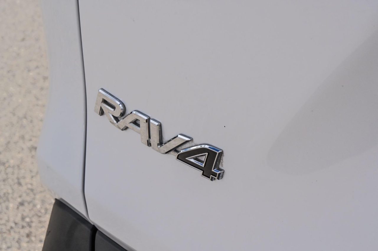 2019 Toyota RAV4 Cruiser