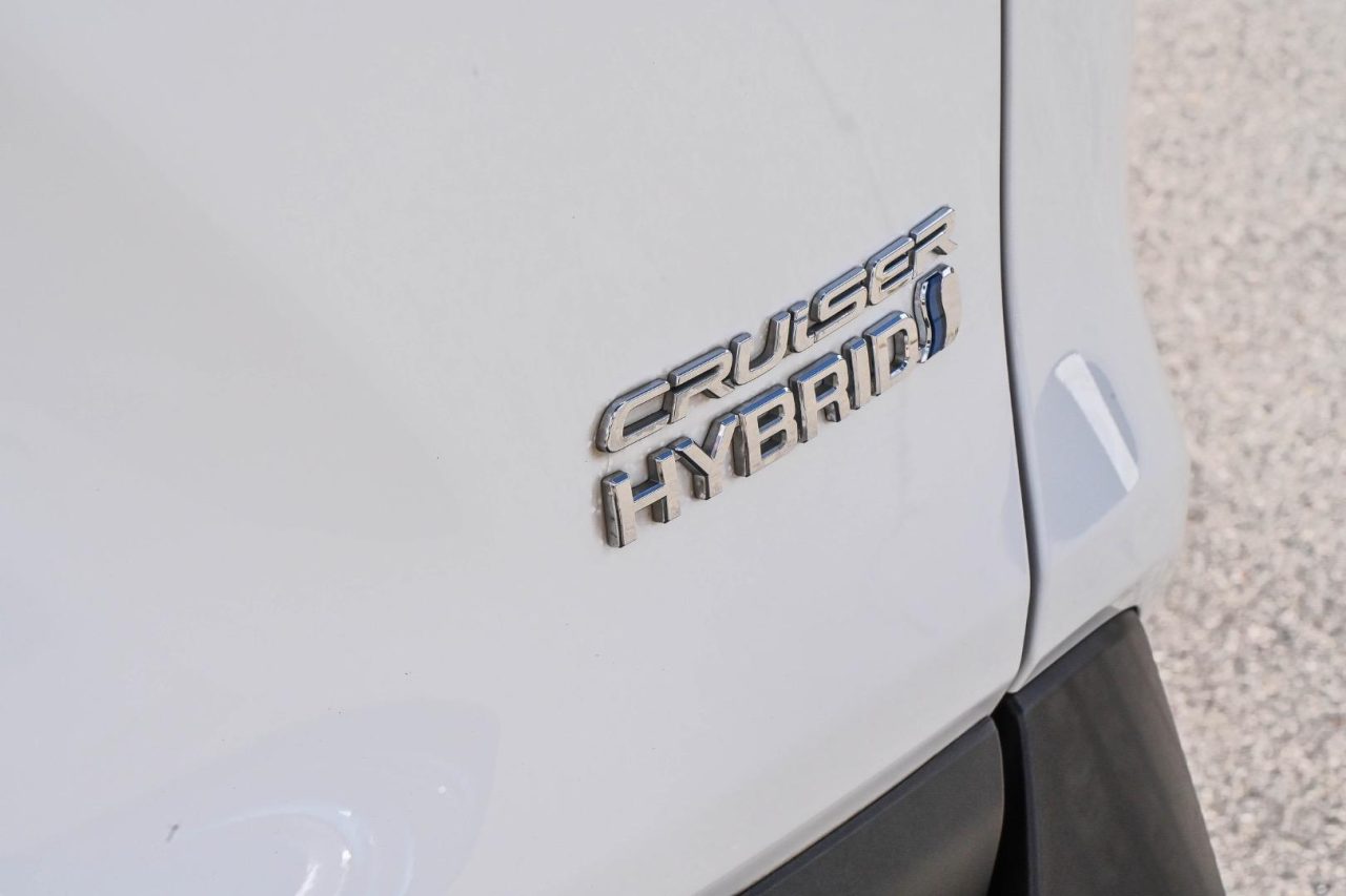 2019 Toyota RAV4 Cruiser