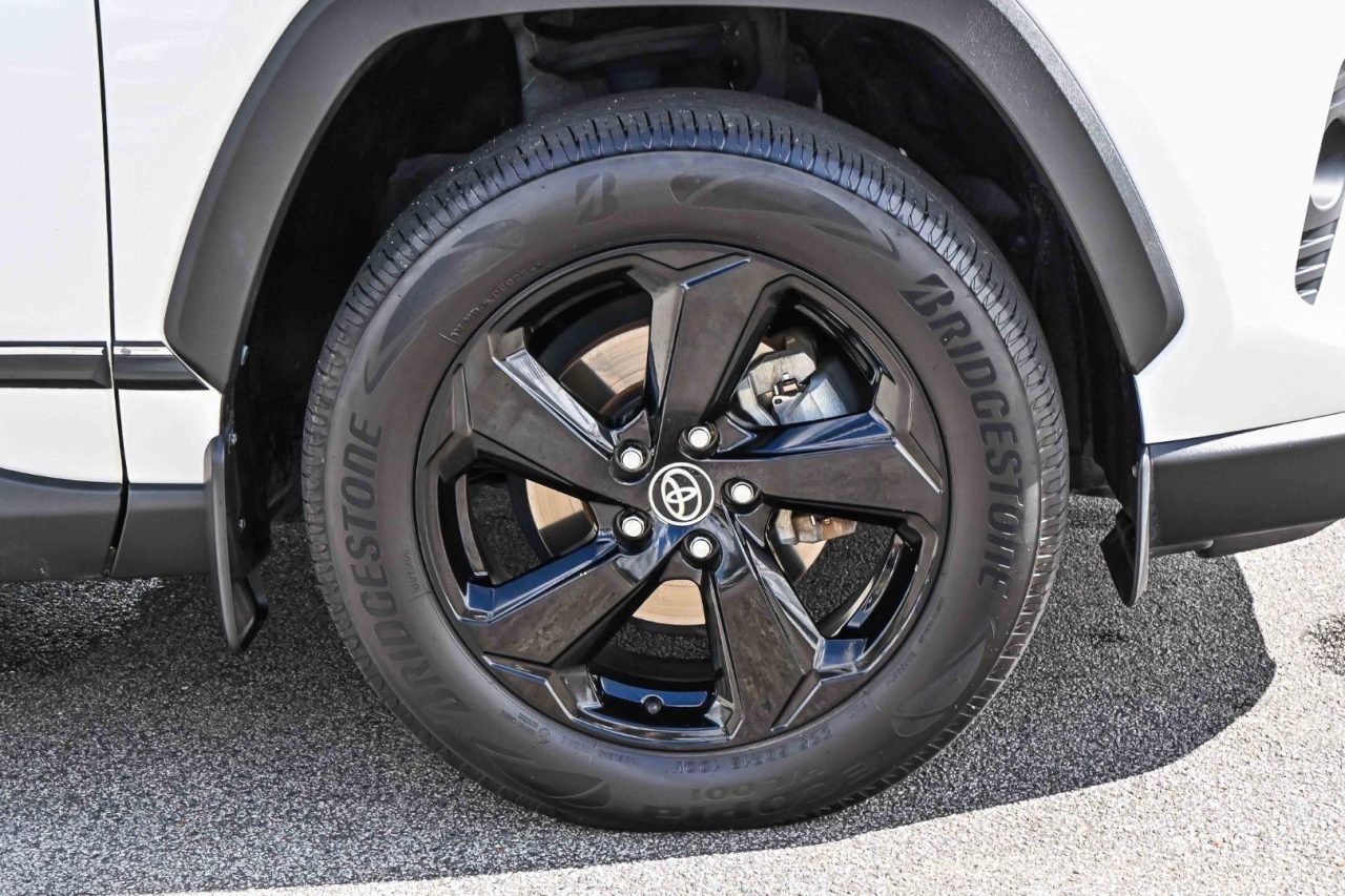 2019 Toyota RAV4 Cruiser