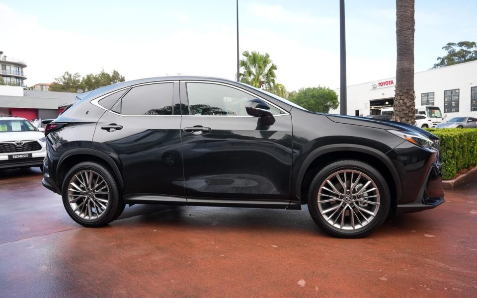 2025 Lexus NX Sports Luxury
