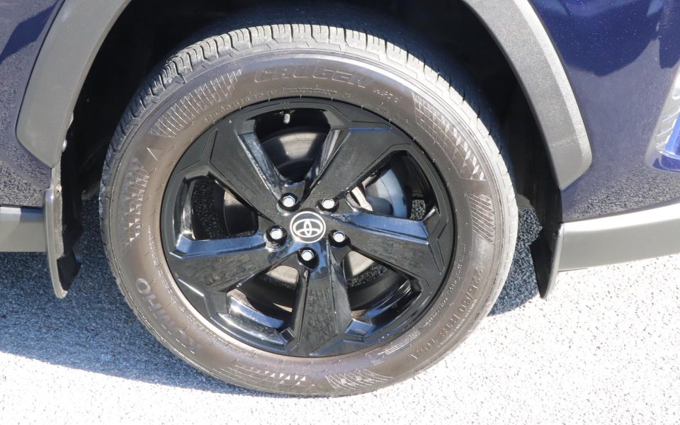 2019 Toyota RAV4 Cruiser-AWD