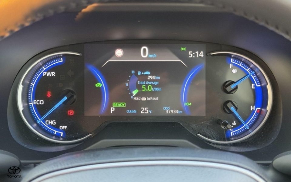 2019 Toyota RAV4 Cruiser