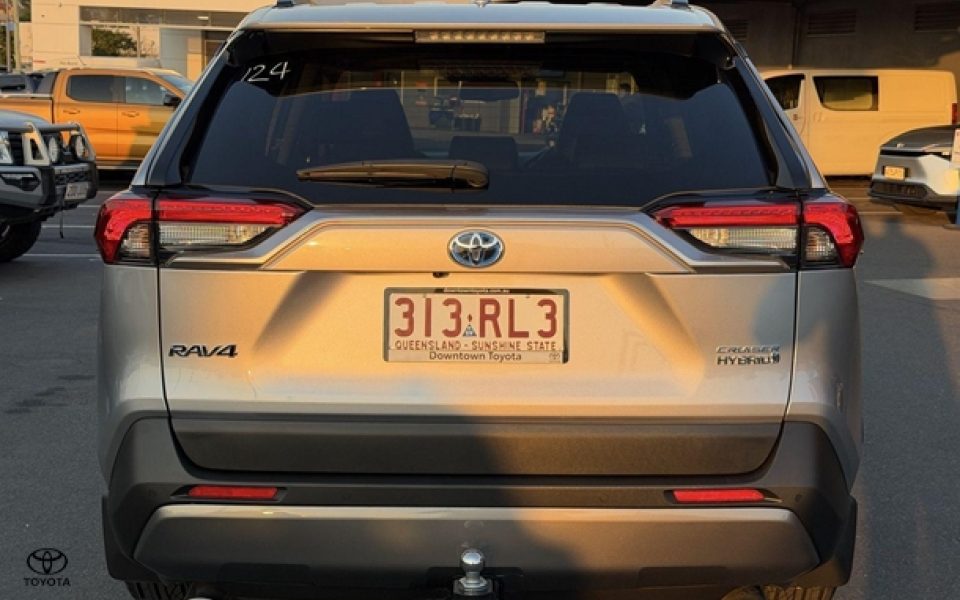 2019 Toyota RAV4 Cruiser
