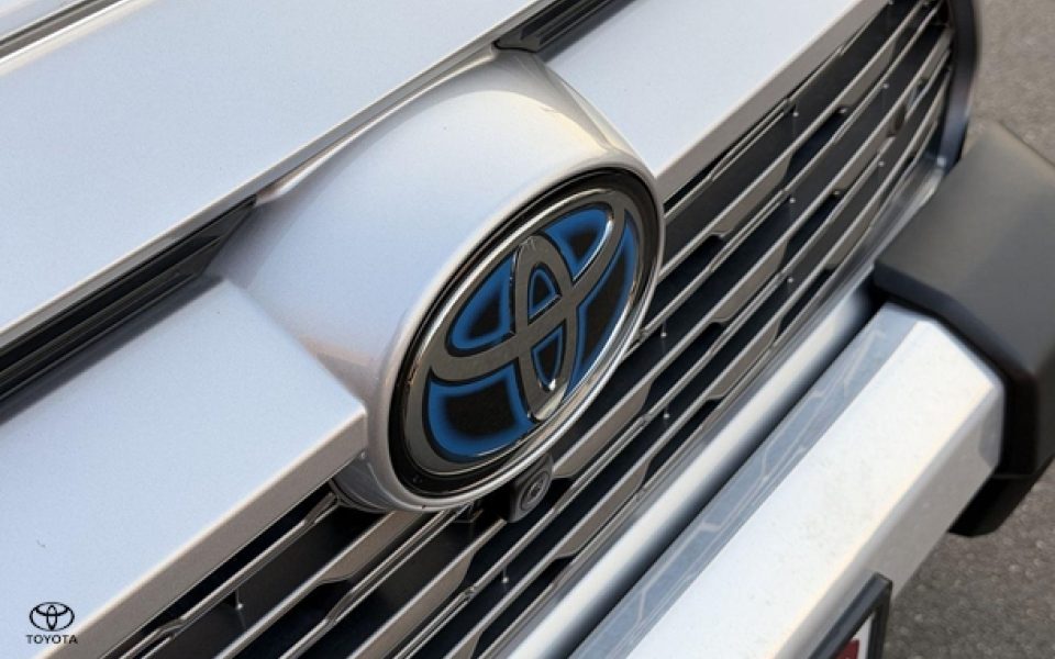 2019 Toyota RAV4 Cruiser