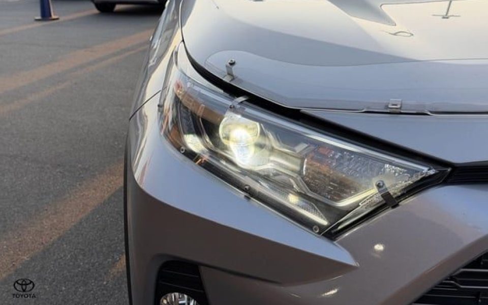 2019 Toyota RAV4 Cruiser