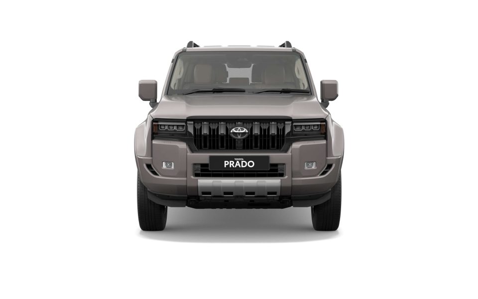 View Vehicle Details