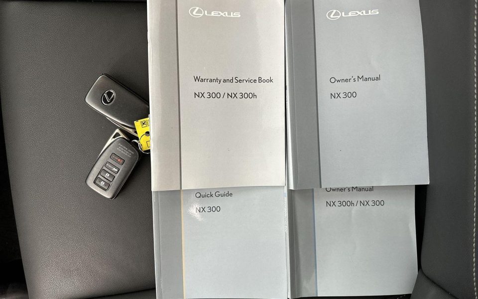 2021 Lexus NX300 NX300 Luxury
