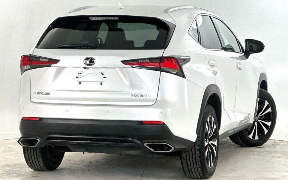 2021 Lexus NX300 NX300 Luxury
