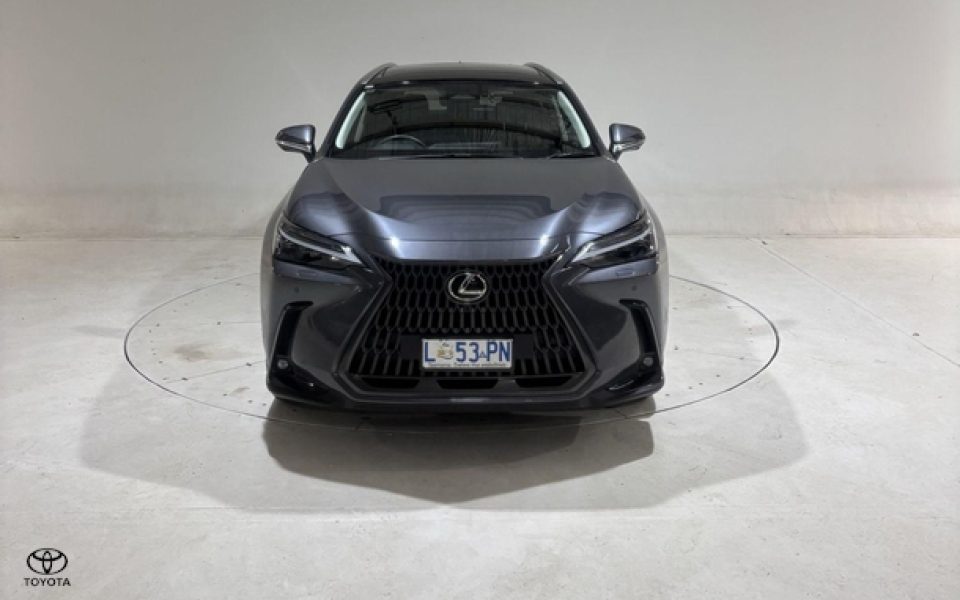 2024 Lexus NX NX350h Sports Luxury