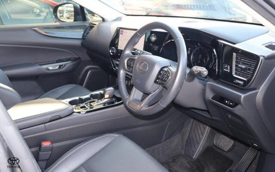 2022 Lexus NX NX250