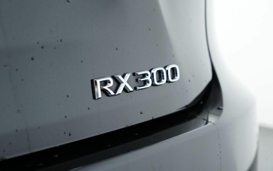 2021 Lexus RX300 RX300 F Sport