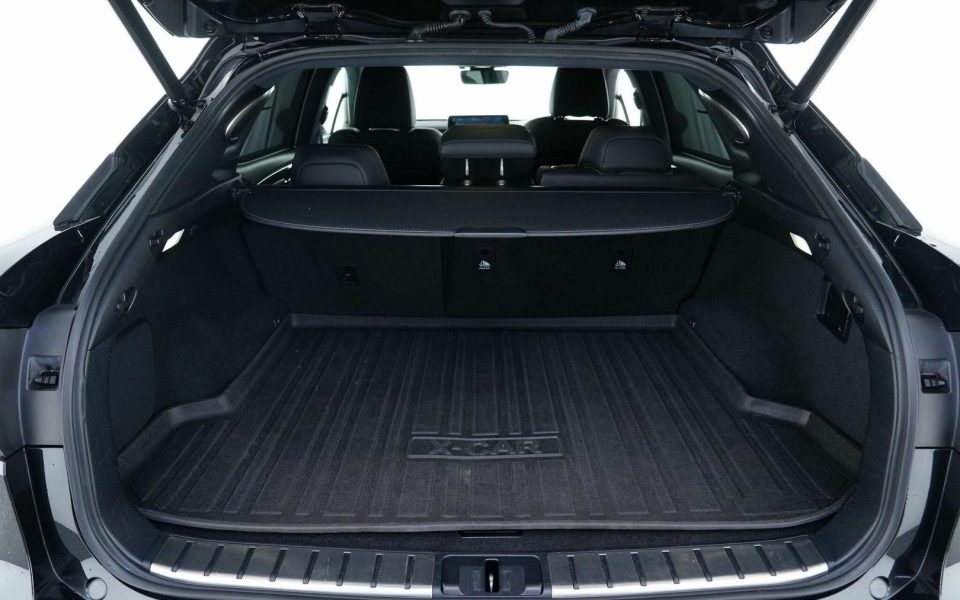 2021 Lexus RX300 RX300 F Sport