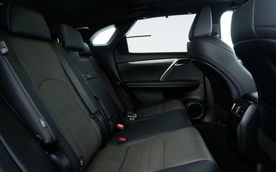 2021 Lexus RX300 RX300 F Sport