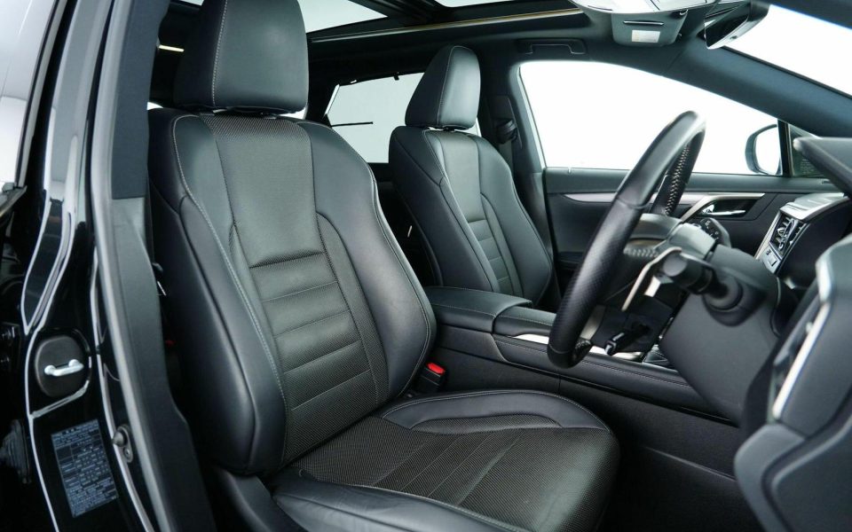 2021 Lexus RX300 RX300 F Sport