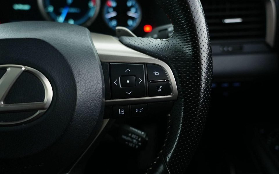 2021 Lexus RX300 RX300 F Sport