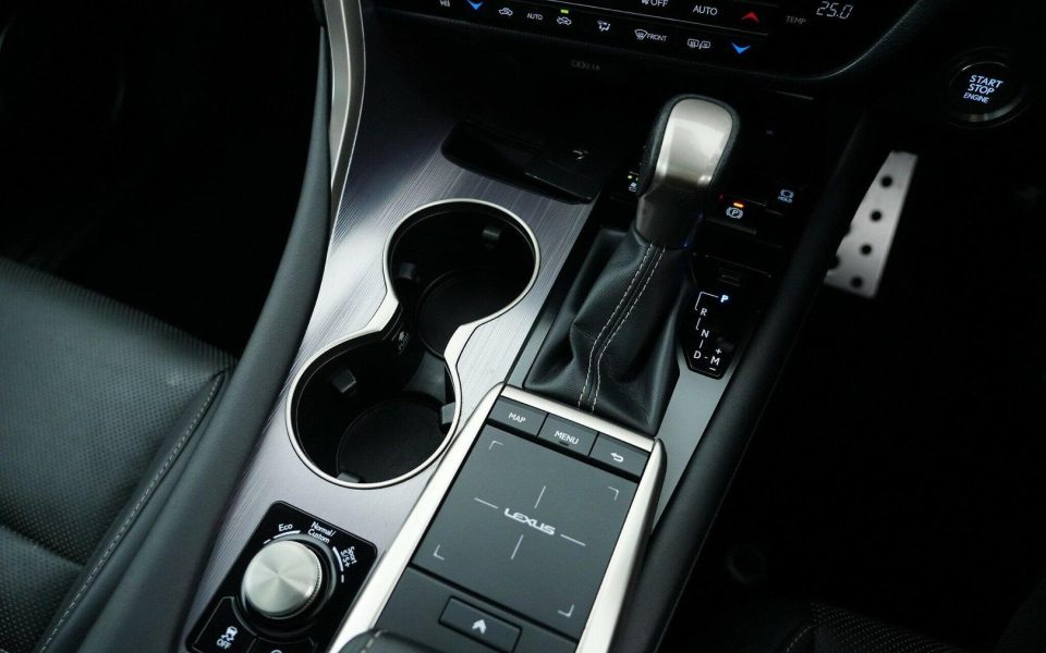 2021 Lexus RX300 RX300 F Sport
